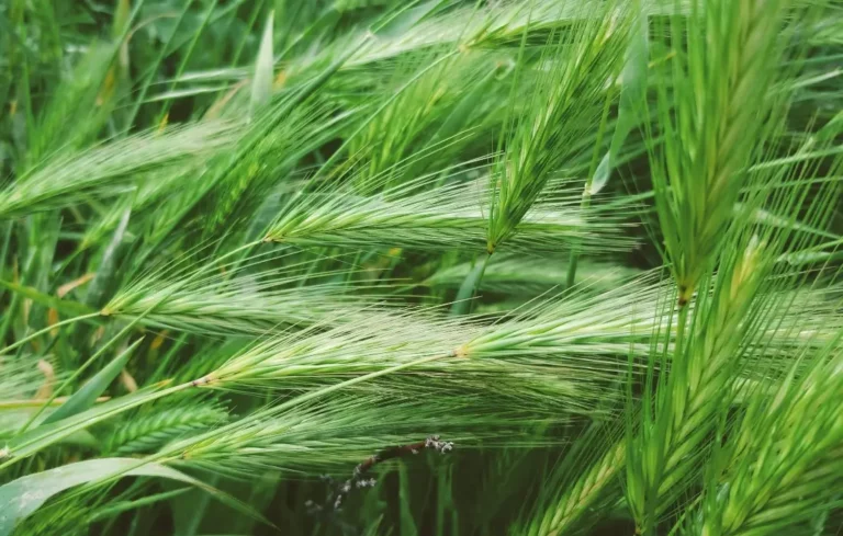 BIO Fulfillment - für Logistik Versand und Handel mit Bio Siegel