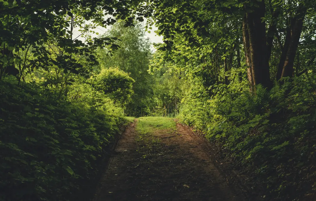 Von Bonität und Fulfillment-Partnern, die pleitegehen.